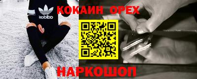 молекула духа Кулебаки